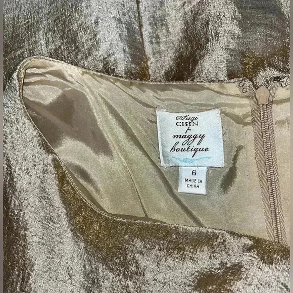 Suzy Chin for Maggy Boutique NWT Oyster Cocktail occasion Dress, zip back - Picture 8 of 9